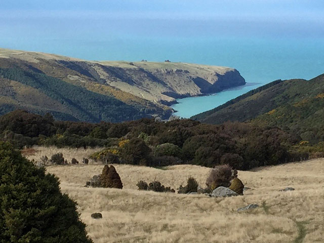 Hinewai