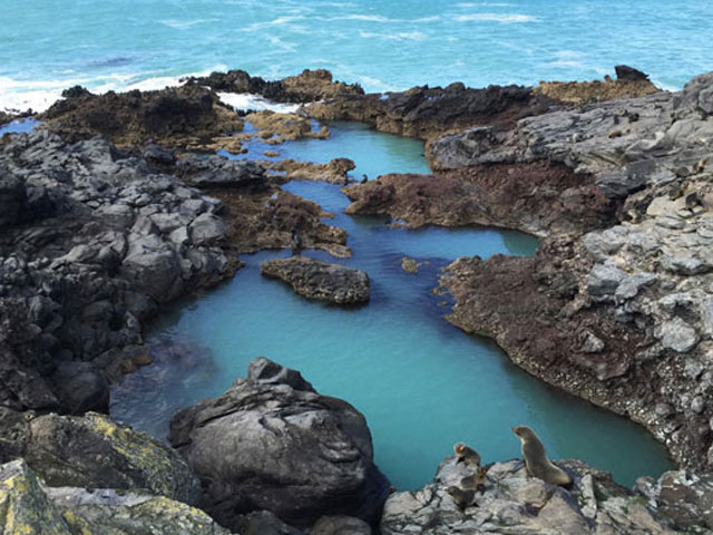 Seals